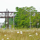 Image for article titled The Feral Factories Of Detroit